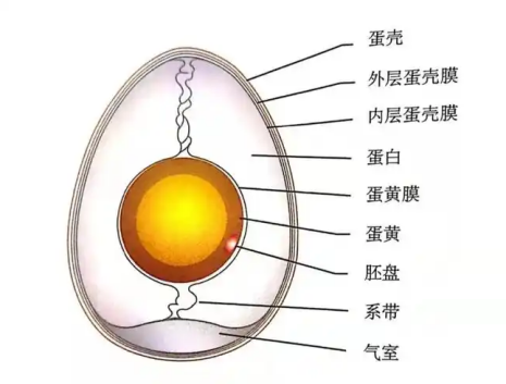 1735085564654037135.png 2.png